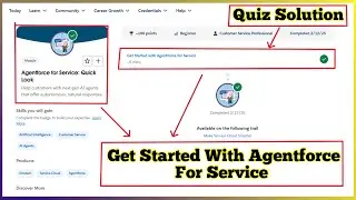 Get Started with Agentforce for Service | Agentforce for Service: Quick Look | Quiz Solution