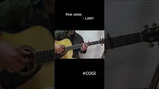 LANY  - pink skies [cover by COGI]