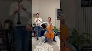 Historia de un amor .#music #song #coversong #latino #pop #clarinet #cello  #claricello