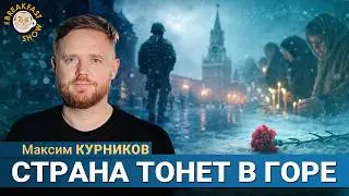 Жалобы россиян попали к журналистам. Максим Курников