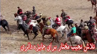 تلاش نجیب مختار برای آخر الاق، مسابقات جالب و دیدنی بزکشی روند آخر - Badakhshan-kaduz nagibmukhtar