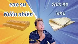 Phân biệt nệm cao su thiên nhiên và cao su non – Đừng nhầm kẻo mua sai