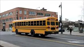 MONTREAL AREA SCHOOL BUSES IN ACTION