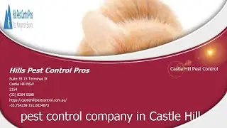 Pest Control Castle Hill (02) 8294 5588