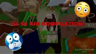 A Compilation of My 41st-50th Island Unique Hair Captures! | Wild Horse Islands