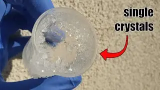 Make SINGLE CRYSTALS at Home!