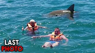 The 5 Most DUMB Shark Attacks Ever Recorded!