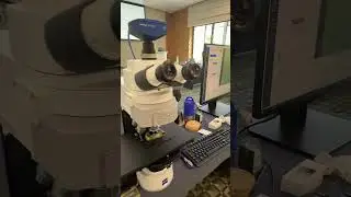 Zeiss Microscopy Workshop at the Root Cause Analysis Conference #microscopy #microscope #zeisslens