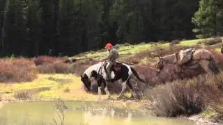 5.11 RealTree Xtra | Perfect camouflage