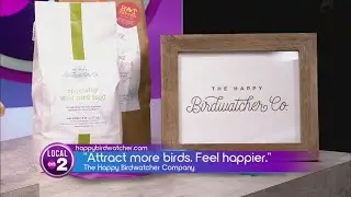 How bird watching can increase your happiness