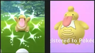 Shiny Lickitung Caught in Pokemon GO Raid Day, Lickitung With Body Slam On 15 February 2020 2PM