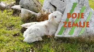 Poljoprivredna emisija Boje zemlje 18.1.2026.