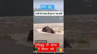 PUNJAB De Pinda Da Haal 🥲 | live today