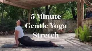 5 Minute Gentle Yoga Stretch
