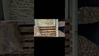 چۆن بزانین ئەو خۆراکەی لەناو هەنگەکانمادایە بەشی زستان دەکات
