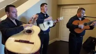 Trio33