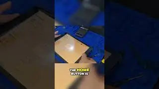 Why Your iPad Home Button Isn't Working: A Simple Fix [IPAD 9TH GEN] | Sydney CBD Repair Centre