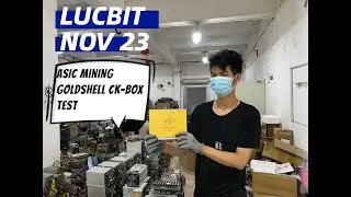 11.23 LUCBIT ASIC MINING GOLDSHELL CK-BOX TEST