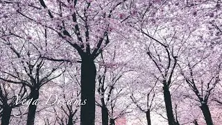 Relaxing music #24. Spring. Lounge/Jazz/Hip-hop music,