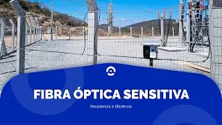 Fibra &oacute;ptica sensitiva: proteja seu per&iacute;metro com durabilidade e efici&ecirc;ncia
