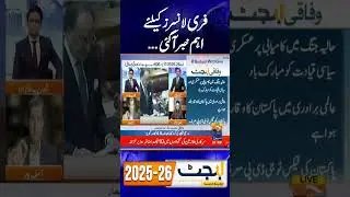 Budget 2025-26 | Big Update for Freelancers - #budget2025 #geonews #shorts