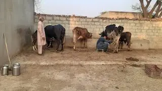 ڈیرہ چوہدری ابوزر ٹھیکریا کرنانہ۔Dera Ch Abuzar Thikriya Karnana.Karnana Channell