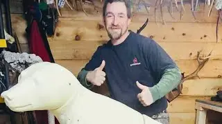 HUGHES BLACK BEAR FORMS VIRGINIA ~UNBOX! #epic #viral #hunting #hunt #bear #taxidermy #taxidermist