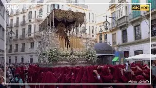 SALUD | Plaza Félix Sánez | Málaga 2022 [4K-HDR]