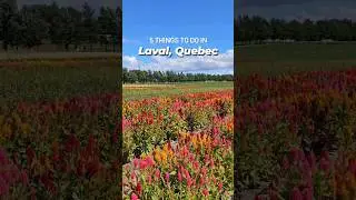 5 Best Things to Do in Laval, Quebec