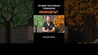 Почему постоянно повышены ЛИМФОЦИТЫ?