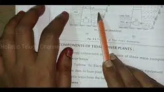 ppe 2