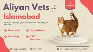 Aliyan Pets Hospital 24/7 Emergency