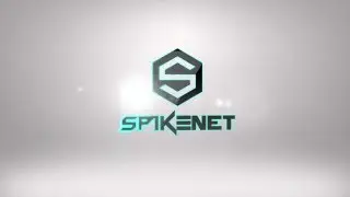 The SpikeNet