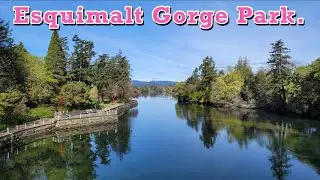 A viewers request, the Esquimalt Gorge Park on Vancouver Island.