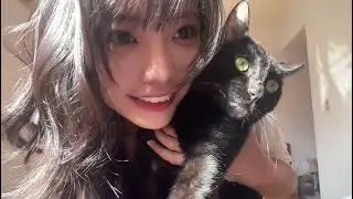 My Cat is TOO Well-Behaved! 🐈 (Looks Like a Plush Toy!)