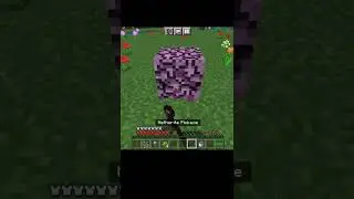 Shulker box crazy hack #minecraft #viral