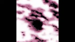 Bloom Rx (Full Album)