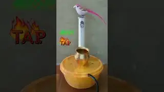 Magic Water Tap | Shorts ||