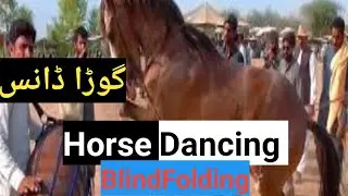 || Blind Horse Dance || Dance Mela || Punjab Festival || Rang Punjab Day Horse Dhol || #HorseDance