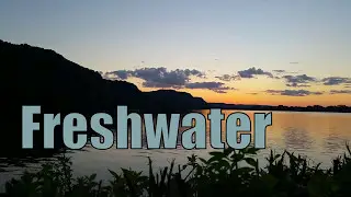 Freshwater Biomes BioVid