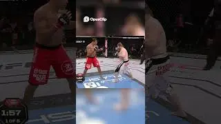 Roy Nelson: 7 Jaw-Dropping Knockouts #boxing #ufcgym #mma