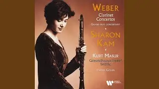 Grand Duo Concertant, Op. 48: I Allegro con fuoco