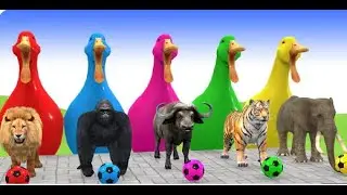 3D Animal Race Simulation on Color Track| 3D-Tier-Rennsimulation auf einer Farbspur
