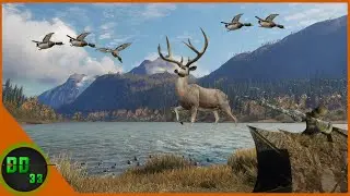 Hunting Ducks N Bucks From A Duck Blind At The Same Time! Call Of The Wild