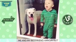 best animal vines compilation top funny pets june 2016 part 2