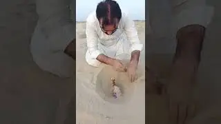 extracting mini toy camel🐫 & water under the desert🌵#lifehacks #survival #outdoors #camping #toys