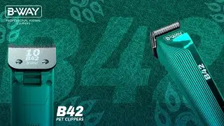 &iexcl;CONOCE LA NUEVA B342! 🐾🔧 #pets #petsgrooming
