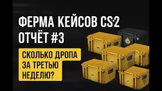 Ферма кейсов CS2 &mdash; Неделя #3: Плохие новости