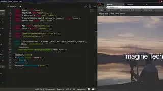 Redux - redux devtools