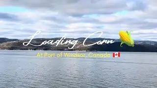 Loading Corn in Ship at Windsor Canada 🇨🇦 | Ship Vlog 🚢 